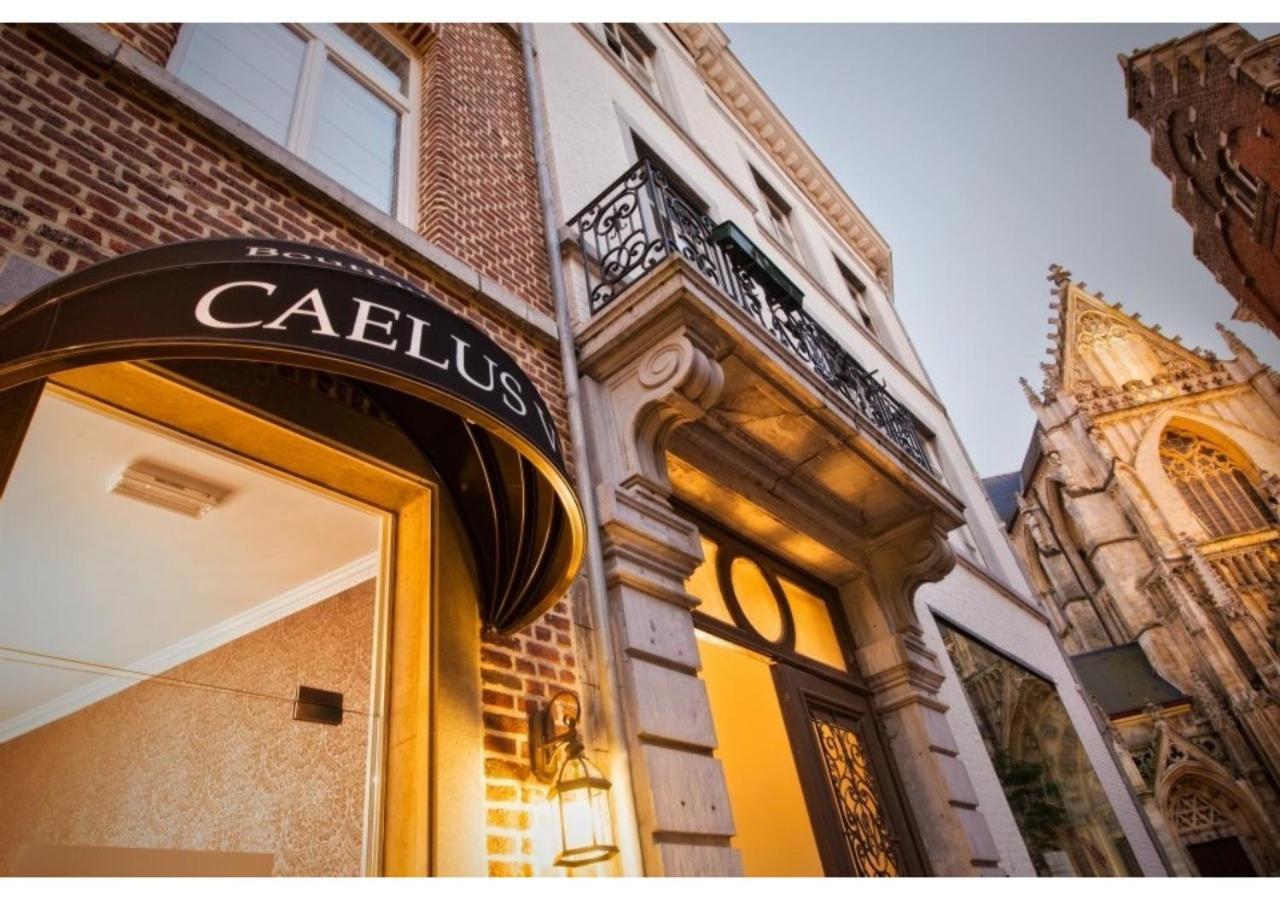 Boutique Caelus Vii Tongeren